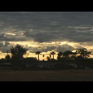 Meet your Posher, Jodie